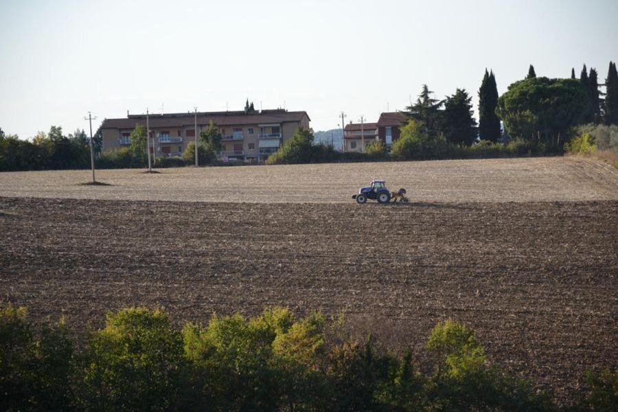 Farmhouse Perugia